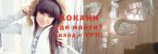 индика Алексин