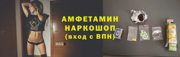 индика Алексин