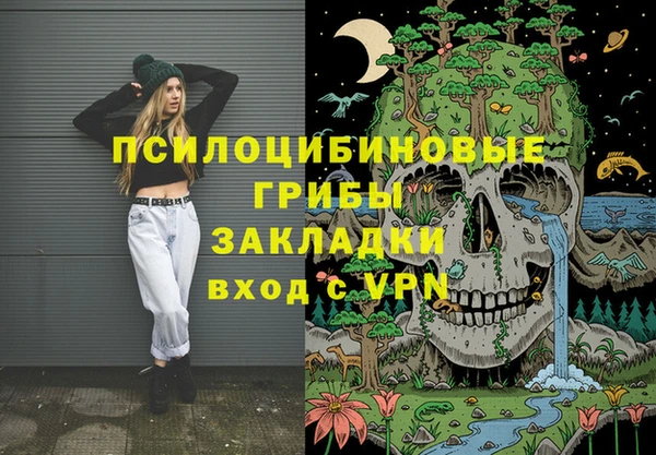 индика Алексин