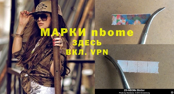 индика Алексин
