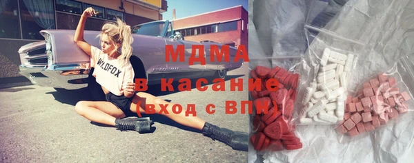 индика Алексин