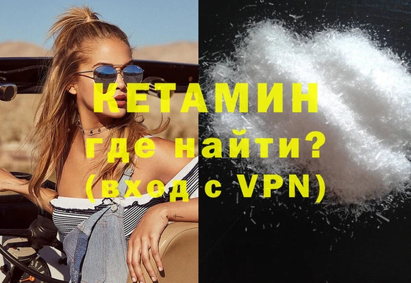 индика Алексин