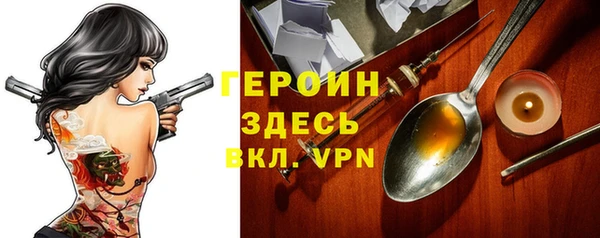 индика Алексин