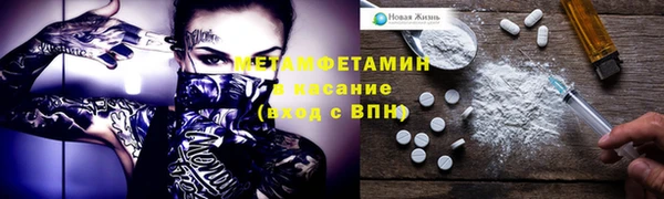 индика Алексин